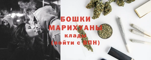 PSILOCYBIN Медногорск