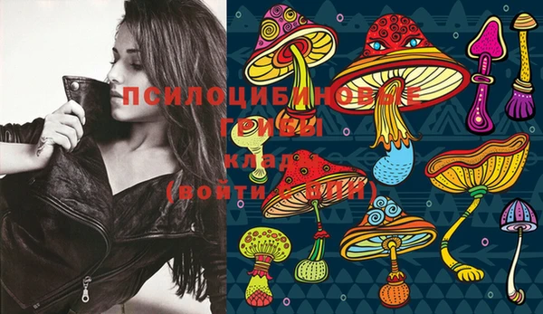 PSILOCYBIN Медногорск