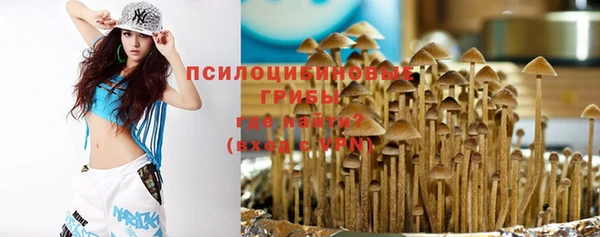 первитин Медвежьегорск