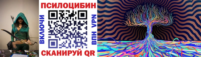 купить  цена  Кочубеевское  Галлюциногенные грибы MAGIC MUSHROOMS 