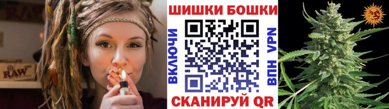 Канабис планчик  Кочубеевское 